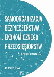 Samoorganizacja bezpieczestwa ekonomicznego przedsibiorstw, 