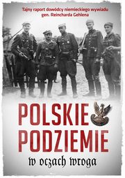 Polskie podziemie w oczach wroga, 