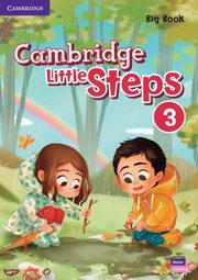 Cambridge Little Steps 3 Big Book, 