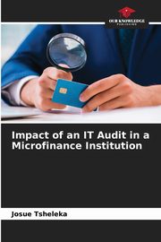 Impact of an IT Audit in a Microfinance Institution, Tsheleka Josu