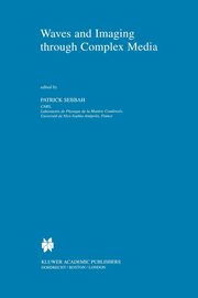 Waves and Imaging through Complex Media, 