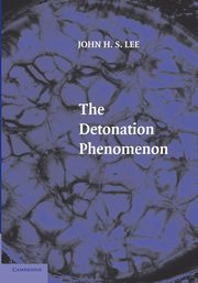The Detonation Phenomenon, Lee John H. S.