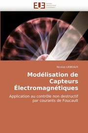 Modlisation de Capteurs lectromagntiques, LIEBEAUX Nicolas