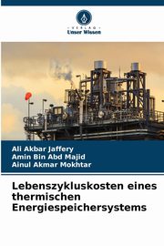 Lebenszykluskosten eines thermischen Energiespeichersystems, Jaffery Ali Akbar