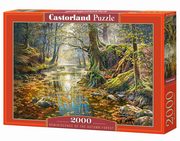 Puzzle Reminiscence of the Autumn Forest 2000, 