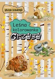 Grzyby. Lena kolorowanka, Kopiec-Sekieta Katarzyna