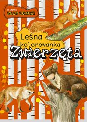 Zwierzta Lena kolorowanka, Kopiec-Sekieta Katarzyna