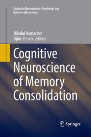Cognitive Neuroscience of Memory Consolidation, 