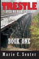 Trestle Over No Name Creek - Book One, Senter Marie C.