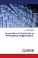 Enamel Matrix Derivative in Periodontal Regeneration, Jannawar Purva