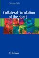 Collateral Circulation of the Heart, Seiler Christian