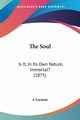 The Soul, A Layman