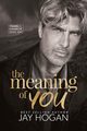 The Meaning of You, Hogan Jay