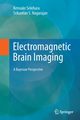 Electromagnetic Brain Imaging, Sekihara Kensuke