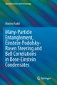 Many-Particle Entanglement, Einstein-Podolsky-Rosen Steering and Bell Correlations in Bose-Einstein Condensates, Fadel Matteo