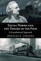 Social Norms and the Theory of the Firm, Stevens Douglas E.