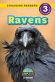 Ravens, Knight AJ
