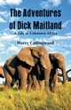The Adventures of Dick Maitland A Tale of Unknown Africa, Collingwood Harry