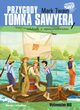 Przygody Tomka Sawyera lektura z opracowaniem, Twain Mark