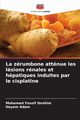 La zrumbone attnue les lsions rnales et hpatiques induites par le cisplatine, Ibrahim Mohamed Yousif