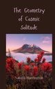 The Geometry of Cosmic Solitude, Harrington Natalia