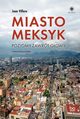 Miasto Meksyk Poziomy zawrt gowy, Villoro Juan