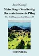Mein Berg / Verdchtig / Der zertrmmerte Pflug, Gangl Josef