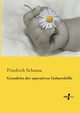 Grundriss der operativen Geburtshilfe, Schauta Friedrich