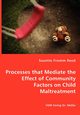 Processes that Mediate the Effect of Community Factors on Child Maltreatment, Fromm Reed Suzette