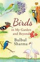 Birds in My Garden and Beyond, Sharma Bulbul