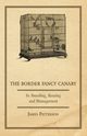 The Border Fancy Canary - Its Breeding, Rearing and Management, Patterson James