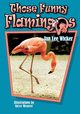 Those Funny Flamingos, Wicker Jan Lee