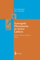 Synergetic Phenomena in Active Lattices, Nekorkin Vladimir