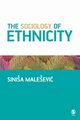 The Sociology of Ethnicity, Malesevic Sinia