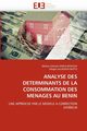 Analyse des determinants de la consommation des menages au benin, Collectif