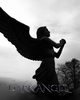 Dark Angel, Huhn Michael