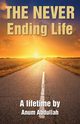 The Never Ending Life, Abdullah Anum