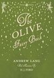 The Olive Fairy Book - Illustrated by H. J. Ford, Lang Andrew