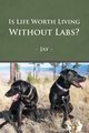 Is Life Worth Living Without Labs?, Jay