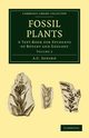 Fossil Plants - Volume 2, Seward A. C.