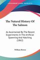 The Natural History Of The Salmon, Brown William