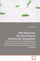 DNA Relaxases, the Key Enzymes of Bacterial Conjugation, Kopec Jolanta