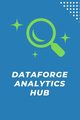 DataForge Analytics Hub, Davis Paul