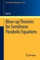 Blow-up Theories for Semilinear Parabolic Equations, Hu Bei