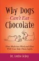 Why Can't Dogs Eat Chocolate, Achey Louise