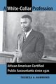 A White-Collar Profession, Hammond Theresa A.
