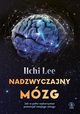 Nadzwyczajny mzg, Lee Ilchi