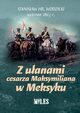 Z uanami cesarza Maksymiliana w Meksyku, Wodzicki Stanisaw