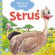 Stru, Drabik Wiesaw
