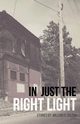 In Just the Right Light, Soldan William R